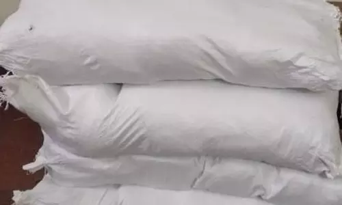 ஊத்துக்கோட்டை அருகே குடோனில் பதுக்கி வைத்த 50 மூட்டை குட்கா பறிமுதல்