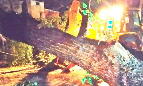 மேட்டுப்பாளையத்தில் கனமழையால் ரோட்டில் முறிந்து விழுந்த மரம்