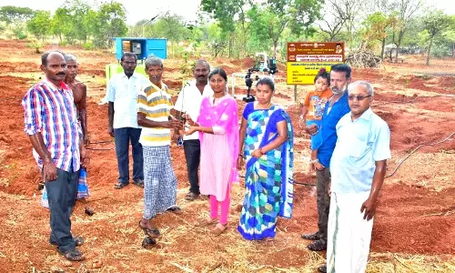 வெங்கடாம்பட்டி ஊராட்சியில் சொட்டுநீர் பாசன வயல்களை ஊராட்சி மன்ற தலைவர் ஆய்வு