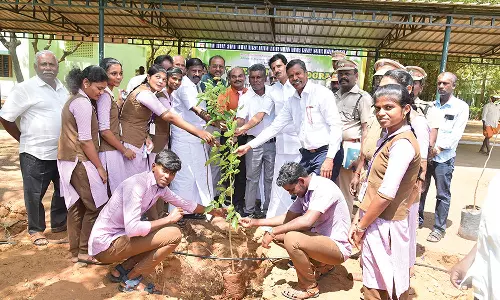 நெல்லை தட்சண மாற நாடார் சங்கம் கல்லூரியில் 1,000 மரக்கன்றுகள் நடும் விழா