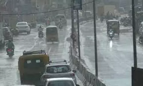 தருமபுரி மாவட்டத்தில் பரவலாக மழை