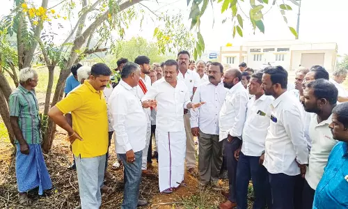 ஓசூர் பகுதியில்  வளர்ச்சி திட்ட பணிகளை மேயர் சத்யா ஆய்வு