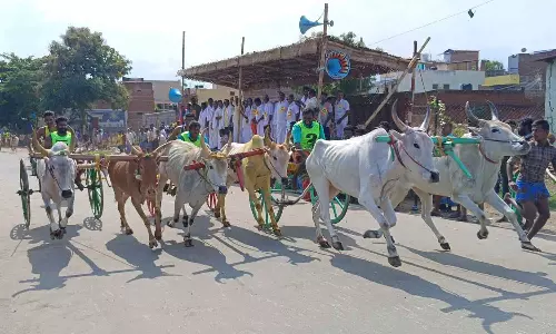 கம்பத்தில் மந்தையம்மன் கோவில் திருவிழாவை முன்னிட்டு இரட்டை மாட்டு வண்டி பந்தயம்