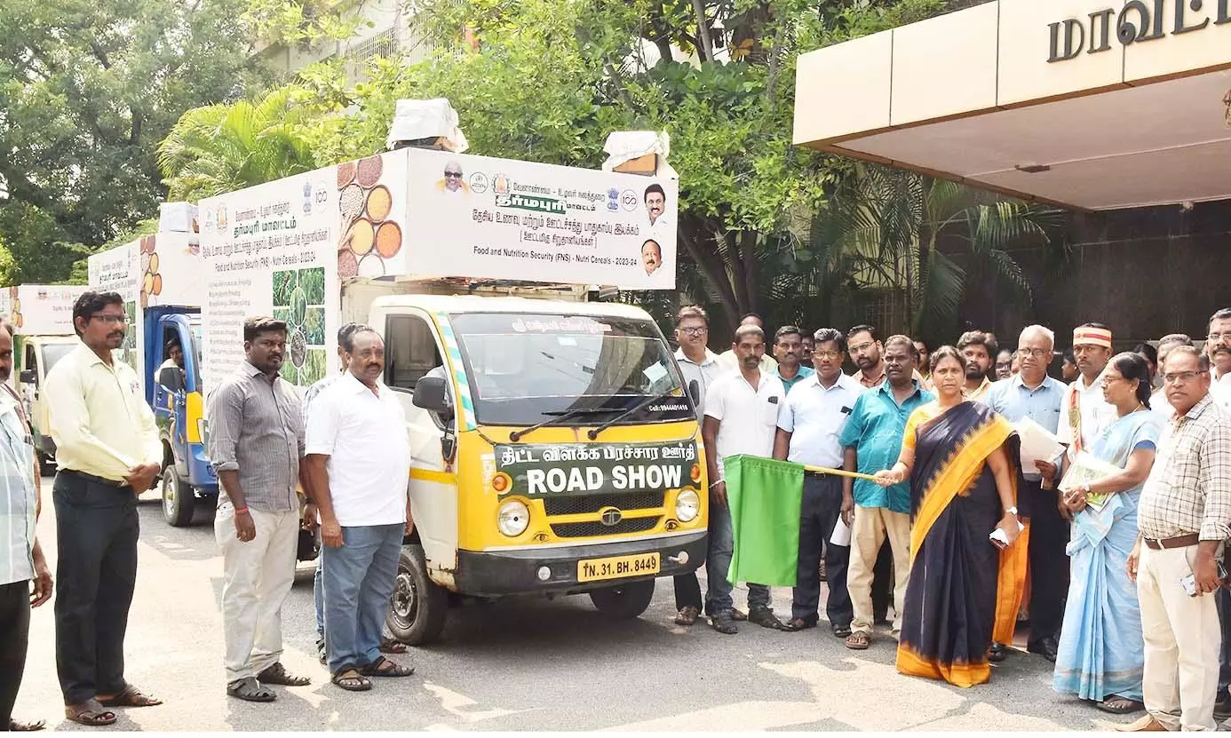 சிறுதானிய பயிர்சாகுபடி விழிப்புணர்வு சிறுதானிய பயிர்சாகுபடி விழிப்புணர்வு