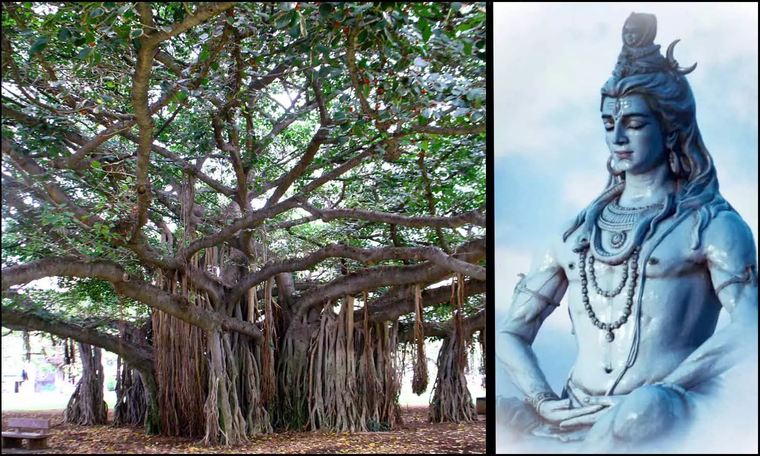 இறைவனை நோக்கி இறைவனே தவமிருக்கும் இரகசிய ஆலமரம்