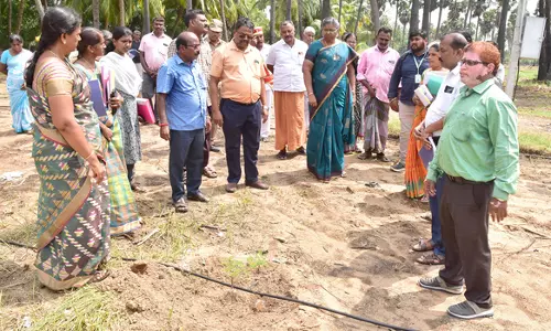 தரிசு நிலம் மேம்பாட்டு திட்டத்தின் கீழ் விவசாய  நிலத்தை பார்வையிட்டு ஆய்வு செய்த கலெக்டர்