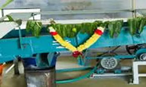 வேப்பம்புண்ணாக்கு அரவை ஆலை தொடக்கம்