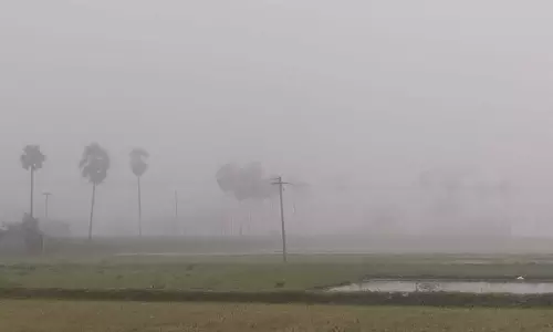 செஞ்சி பகுதியில்  கடும் பனிமூட்டம்