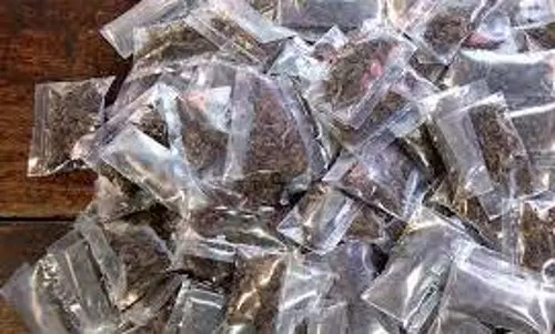 18 கிலோ கஞ்சாவுடன் பிடிபட்ட ஒடிசா வாலிபர்