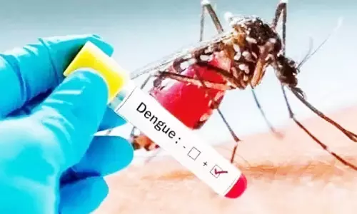 வேலூர் மாவட்டத்தில் புதியதாக 4 பேருக்கு டெங்கு பாதிப்பு