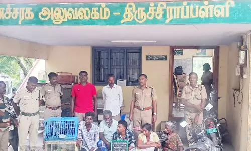 பச்சை கிளிகள், முனியாஸ் பறவைகளை பிடித்து விற்பனை செய்ய முயன்ற 5 பேர் கைது