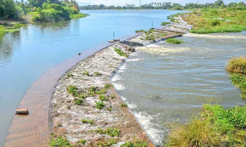 நெல்லை மாவட்டத்தில் பரவலாக மழை