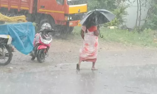 தருமபுரி மாவட்ட பகுதிகளில் தொடர் மழை; விவசாயிகள் மகிழ்ச்சி
