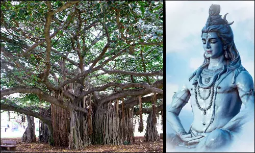 இறைவனை நோக்கி இறைவனே தவமிருக்கும் இரகசிய ஆலமரம்