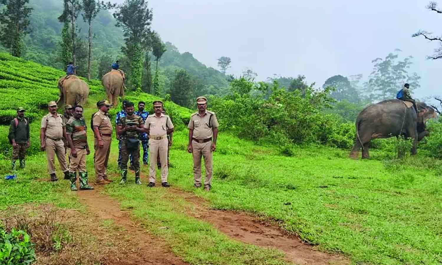 கட்டக்கொம்பன் யானையை டிரோன் மூலம் கண்காணிக்கும் வனத்துறை- 4 கும்கி யானைகளுடன் பாதுகாப்பு