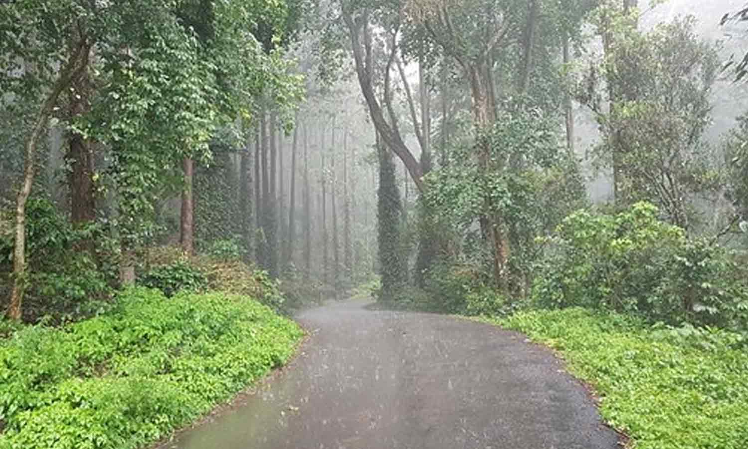 ஏற்காட்டில் கடும் குளிர்: வெறிச்சோடிய சுற்றுலா தளங்கள்