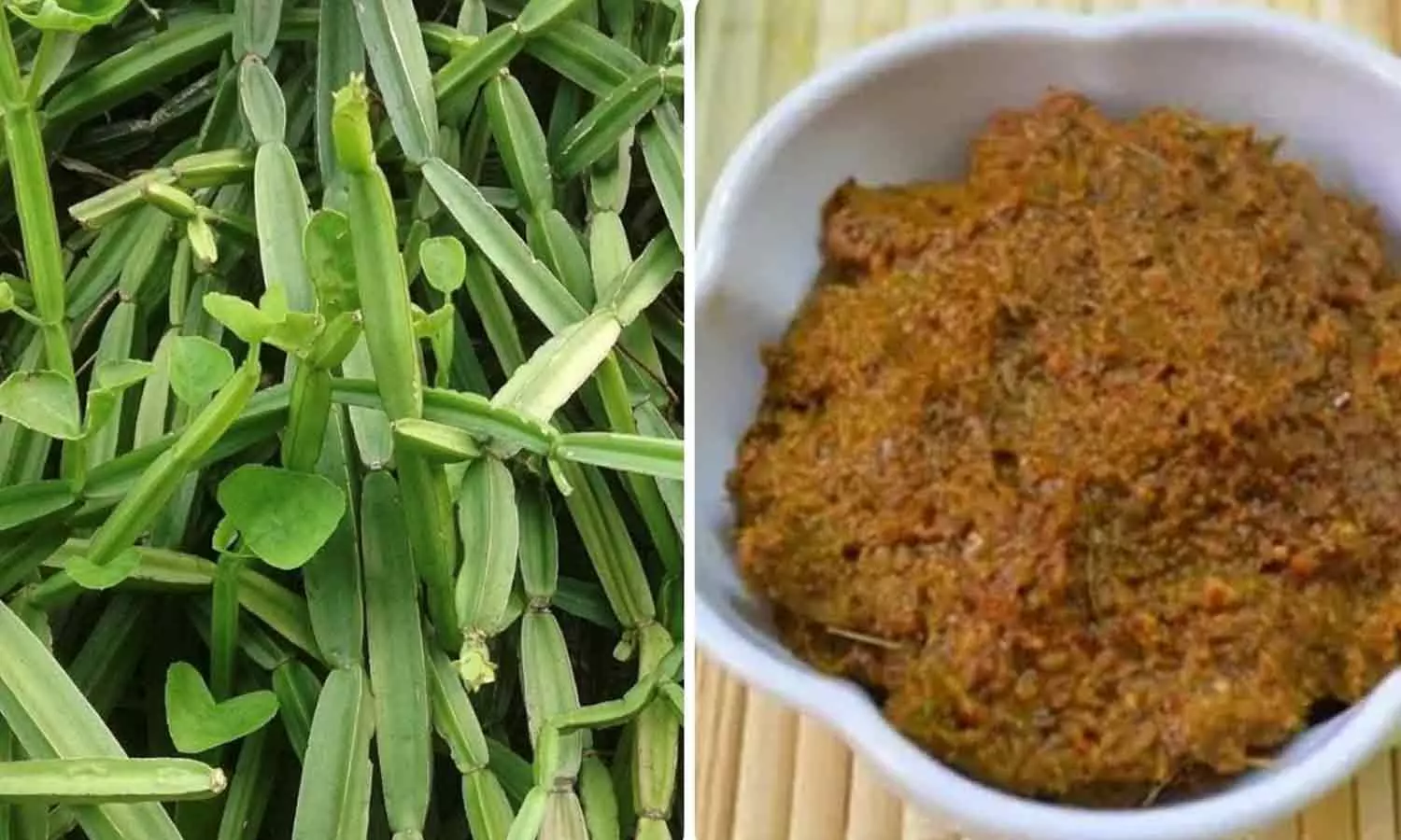 பெரும் பலன் தரும் பிரண்டை பெரும் பலன் தரும் பிரண்டை