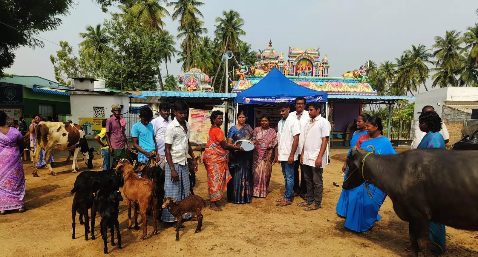 செவந்திபாளையத்தில் கால்நடை விழிப்புணர்வு மருத்துவ முகாம் செவந்திபாளையத்தில் கால்நடை விழிப்புணர்வு மருத்துவ முகாம்