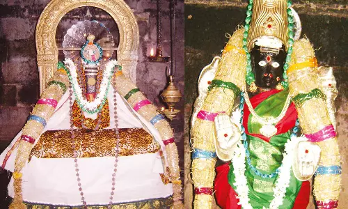 தீராத நோய்களை தீர்க்கும் திருத்தினைநகர் சிவ கொழுந்தீஸ்வரர் ஆலயம்