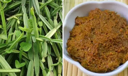 பெரும் பலன் தரும் பிரண்டை