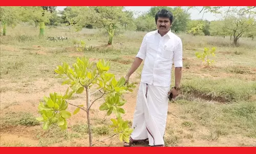 மழைநீர் சேகரிப்பு ெதாட்டி அமைத்தால் தான்  வீடு கட்ட அனுமதி-ஊராட்சி மன்ற தலைவர்