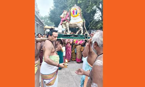 மானாமதுரை, திருப்புவனம் கோவில்களில் பிரதோஷ வழிபாடு