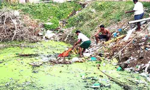 குளத்தில் தவறி விழுந்து இரவு முழுவதும் தவித்த மூதாட்டி