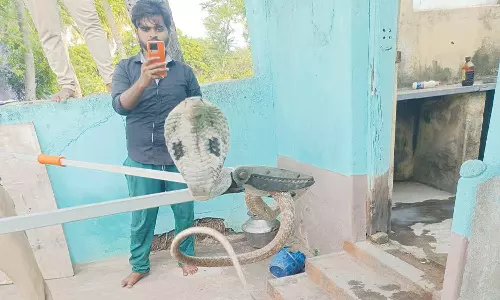 வீட்டில் புகுந்த 6 அடி நீள பாம்பு