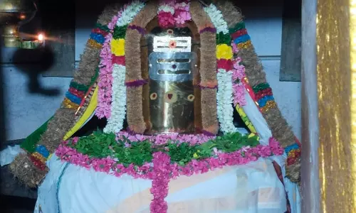 வேலாயுதம் பாளையம் பகுதிகளில் பிரதோஷத்தை முன்னிட்டு சிவன் கோவில்களில் சிறப்பு அபிஷேக ஆராதனை