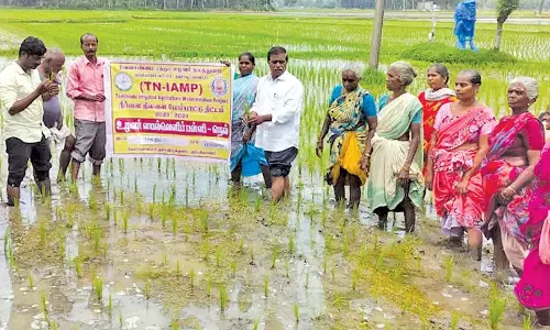 உழவர் வயல்வெளி பள்ளி பயிற்சி