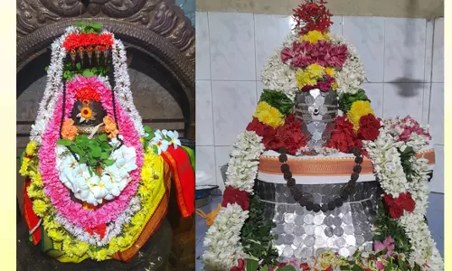 நந்தி பெருமானுக்கு சிறப்பு அபிஷேக ஆராதனை