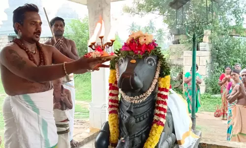 சோழீஸ்வரர் கோவிலில் பிரதோஷ சிறப்பு பூஜை