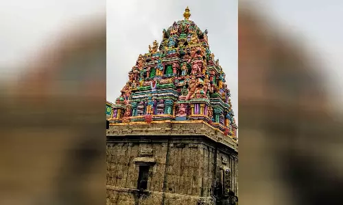 சக்கரபாளையம்  தாமோதர பெருமாள் கோவிலில் சிறப்பு அபிஷேகம் -  நாளை நடக்கிறது