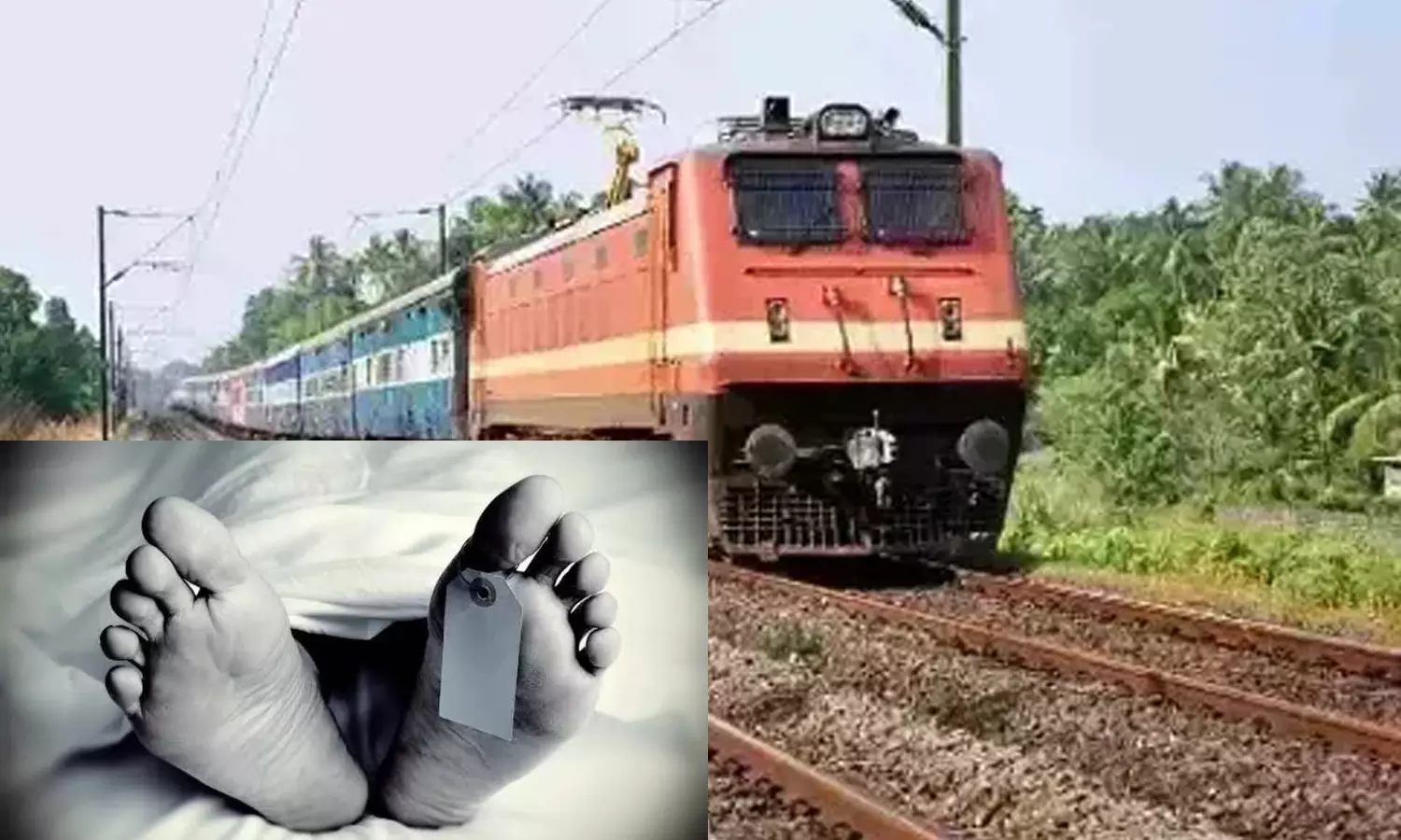 ரெயில் மோதி தொழிலாளி பலி ரெயில் மோதி தொழிலாளி பலி