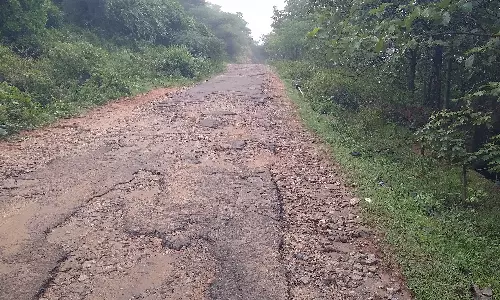 வருசநாடு-வாலிப்பாறை இடையே வனத்துறை தடையால் கிடப்பில் போடப்பட்ட சாலைப்பணி