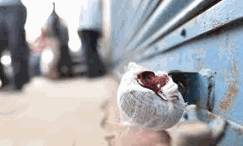 அனுமதியின்றி செயல்பட்ட பட்டாசு குடோனுக்கு சீல்வைப்பு