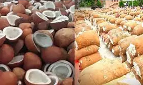 பருத்தி, தேங்காய் கொப்பரை ஏலம்