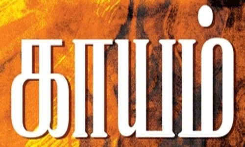 விபத்தில் விவசாயி காயம்