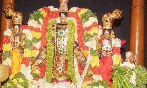 பெருமாள் கோவில்களில் அலைமோதிய பக்தர்கள்