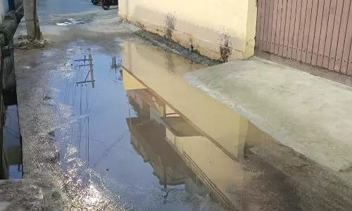 சிங்காநல்லூர் அருகே தெருக்களில் வழிந்தோடும் சாக்கடை நீர்