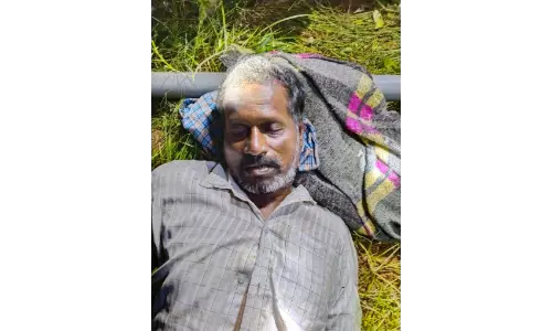 ஒற்றை காட்டு யானை தாக்கி விவசாயி பலி