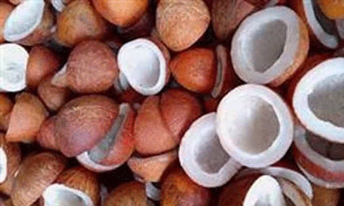 ரூ.3 லட்சத்து 62 ஆயிரத்துக்கு தேங்காய் பருப்பு ஏலம்