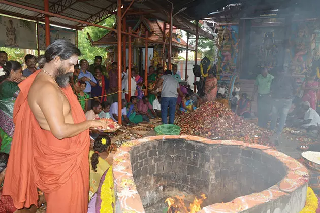 தூத்துக்குடி சித்தர் பீடத்தில் வாராகி அம்மனுக்கு 2025 கிலோ கிழங்கு யாகம் தூத்துக்குடி சித்தர் பீடத்தில் வாராகி அம்மனுக்கு 2025 கிலோ கிழங்கு யாகம்