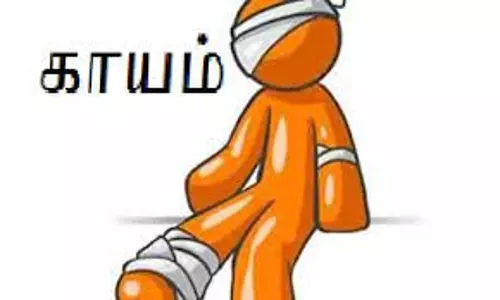 பள்ளி மாணவர்கள் - ஆசிரியர்கள் உள்ளிட்ட 11 பேர் காயம்