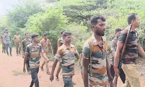 காட்டுயானையை பிடிக்க 3-வது நாளாக தேடுதல் வேட்டையில் வனத்துறையினர் தீவிரம்
