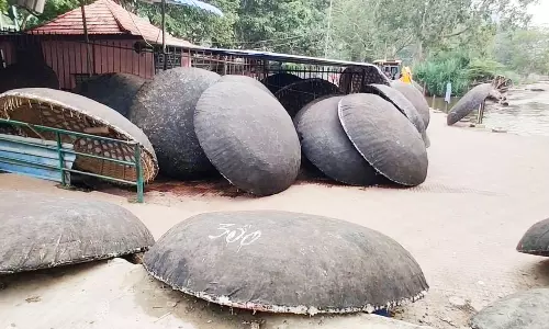 ஒகேனக்கல்லில் நீர்வரத்து 8 ஆயிரம் கனஅடியாக சரிவு