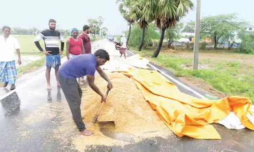 நெல்லை உலர வைக்கும் பணியில் விவசாயிகள்