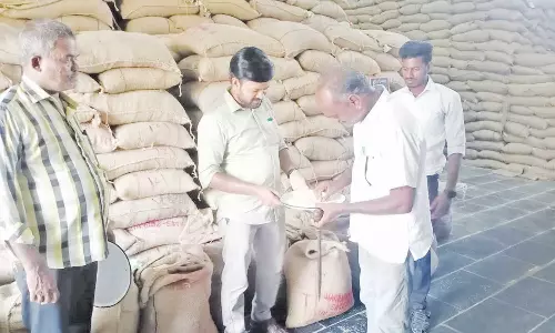 பாபநாசம் குடோனில் அதிகாரி ஆய்வு