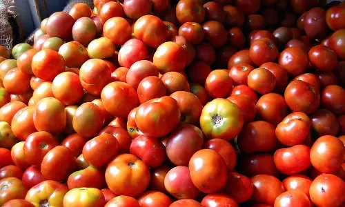 வெள்ளகோவில் வாரச்சந்தையில் தக்காளி ஒரு கிலோ ரூ.20க்கு விற்பனை