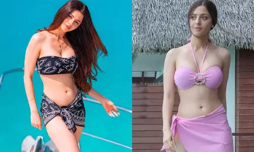 கன்று குட்டி குடிக்க வேண்டிய பாலை திருடி குடிப்பது போல் உள்ளது- வேதிகா